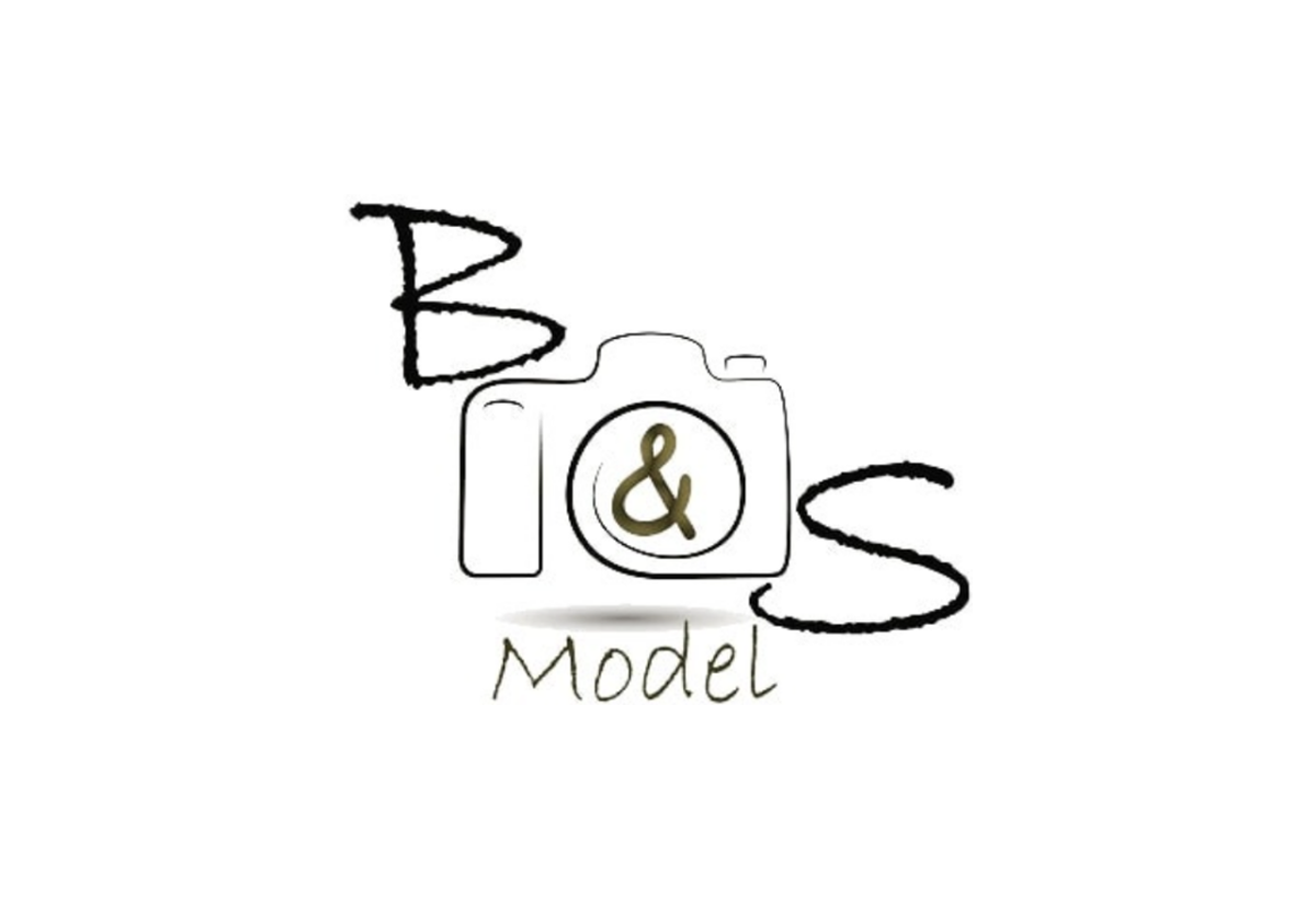BS-MODEL1